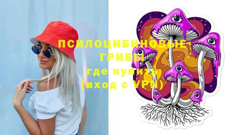 Галлюциногенные грибы MAGIC MUSHROOMS  где можно купить   Добрянка 